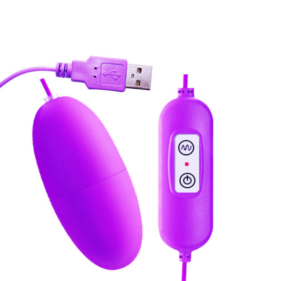 Womens Sex Toys & Accessories | Remote Control 1 Speed Vibrator Accessories Sex Toys & Accessories